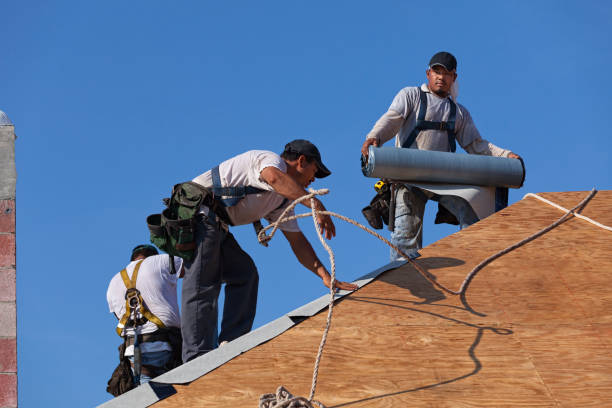 Roof Waterproofing Services