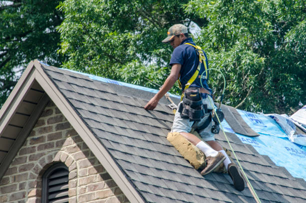 Best Gutter Installation and Roofing  in Sixteen Mile Stand, OH